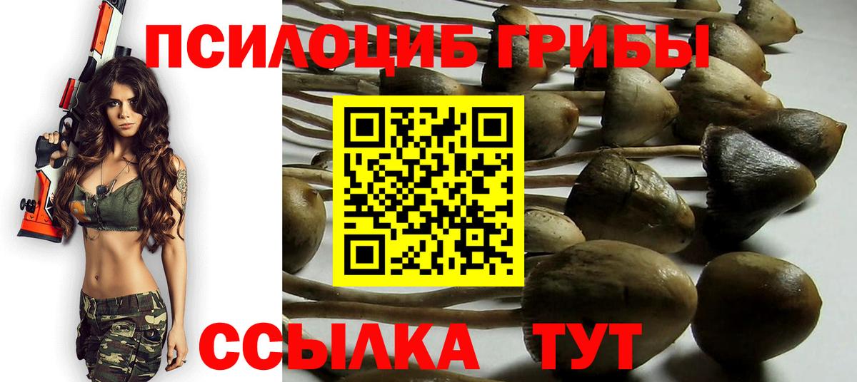 Галлюциногенные грибы мухоморы Черняховск